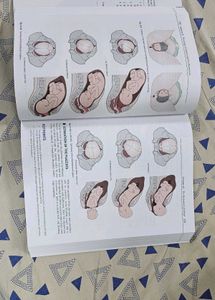 Clinical Obstetrics - 13th Edition