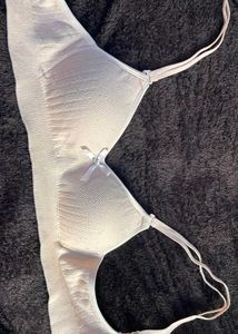 Women Tshirt Bra Lightly Padded Seamless