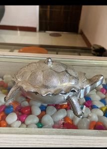 4bowls,juicer,turtle mukwas