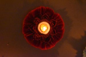 Macrame Tea Light Holder