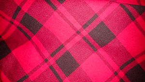 Korean Checks Skirt