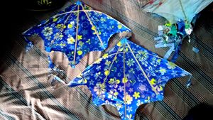 Kite Umbrella