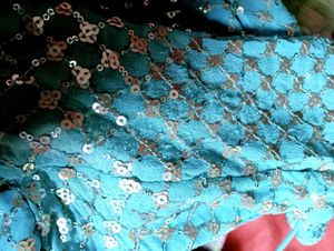 Backless Design Saree
