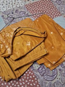 Gold Embellished Salwar Kameez