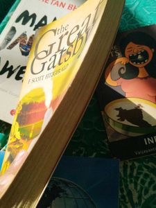 Combo of 5 Fiction Books