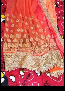 Wedding Wear Saree With Blouse