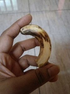 Vintage Wild Boar Tusk Pendant
