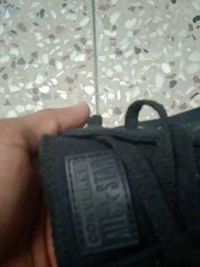 Converse Sneakers