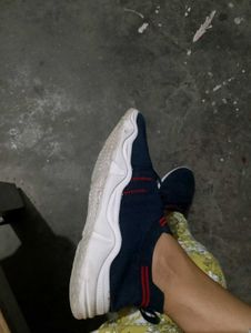 Stylish Blue Sneakers