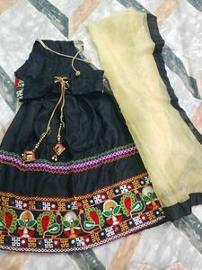 Embroidered Lehenga Choli Set