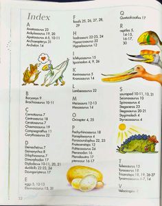 Triceratops Had Horns/ I Wonder Why Children Book