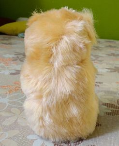 Teddy Bear