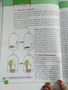 Intermediate Botany Textbook