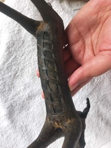 Antique Bronze Animal Statue