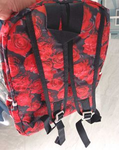New School/College Bags Back Pack and Pouch