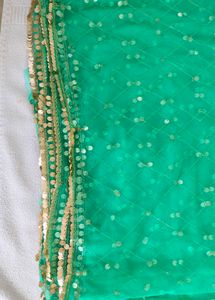 Green Net Dupatta lehenga