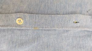 Mandarin Collar Shirt Full Sleeves Blue