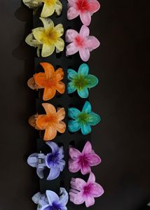 Hair Clip