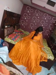 Elegant Ethnic Gown