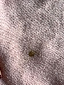 Pink Bell Sleeve sweater