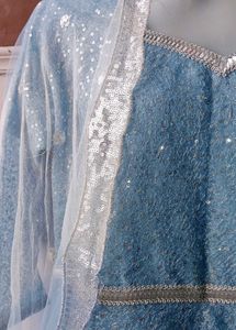 Elegant Blue Ethnic Gown