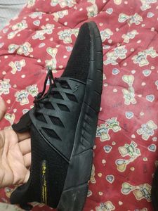Campus Shoes