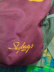 Skybags Backpack