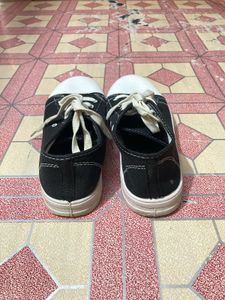 Converse Sneakers