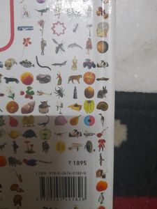 The Visual Encyclopedia Of Everything