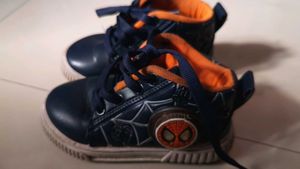 Spider Soose