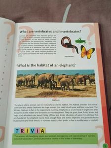 Tell Me What? Trivia Book