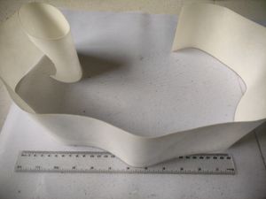 👟 Nike Shoe SOLE Protector For Costly Sneakers