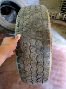 Tyres Safari Strome