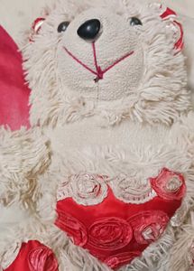 Teddy Bear Combo