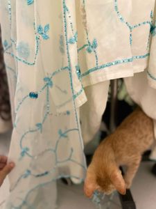 Elegant Y2K Embroidered Kurta Set