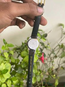 Women's Orignal Titan Watch