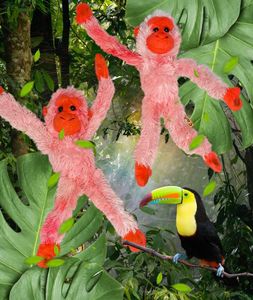 🎁Buy 2 Get 1 Free 🎁Cute Plush Monkeys