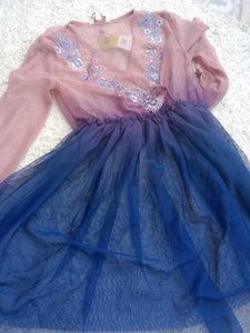 Embroidered Dress