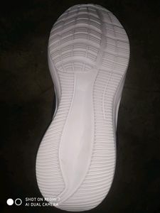 Women&#39;s Maroon Colour Shoes