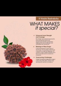 Rudraksha 6 and 9 mukhi combo