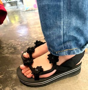 Wedge Flats
