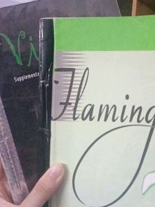 English Book Class 12th