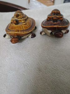 Vastu Tortoise Pair