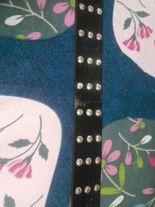 Belt Women⁰