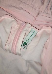 Pink Roses