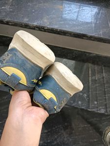 Campus Shooes