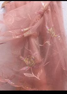 Beautiful Peach Net Saree