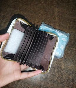 Card Holder / Cute Wallet