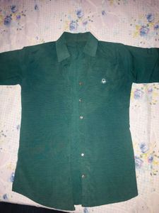 Women’s Crop Top