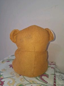 Adorable Teddy Bear - Best Wishes